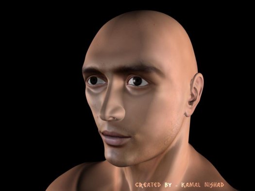 3D Face Model - Ankit (Maya) by Artist Kamal Nishad +91 9501247988